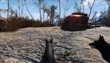 Dogmeat's adventure in Fallout 4