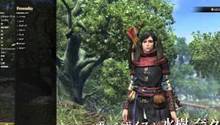 Dragon's Dogma Online game has got two new videos