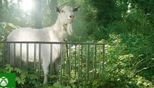 Les prochaines versions de Goat Simulator sur Xbox se sont dotées d'un teaser frais